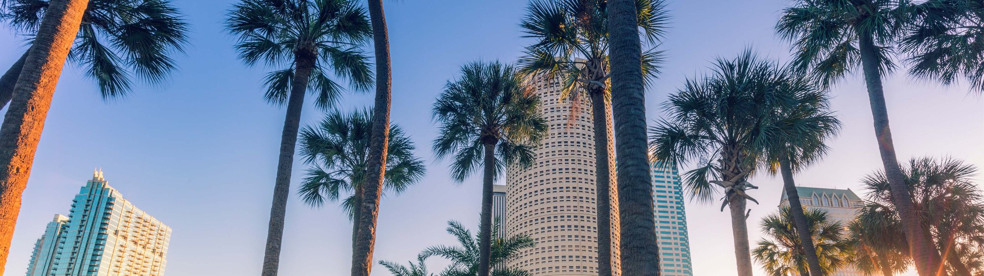 tampa-pages-header_0-2